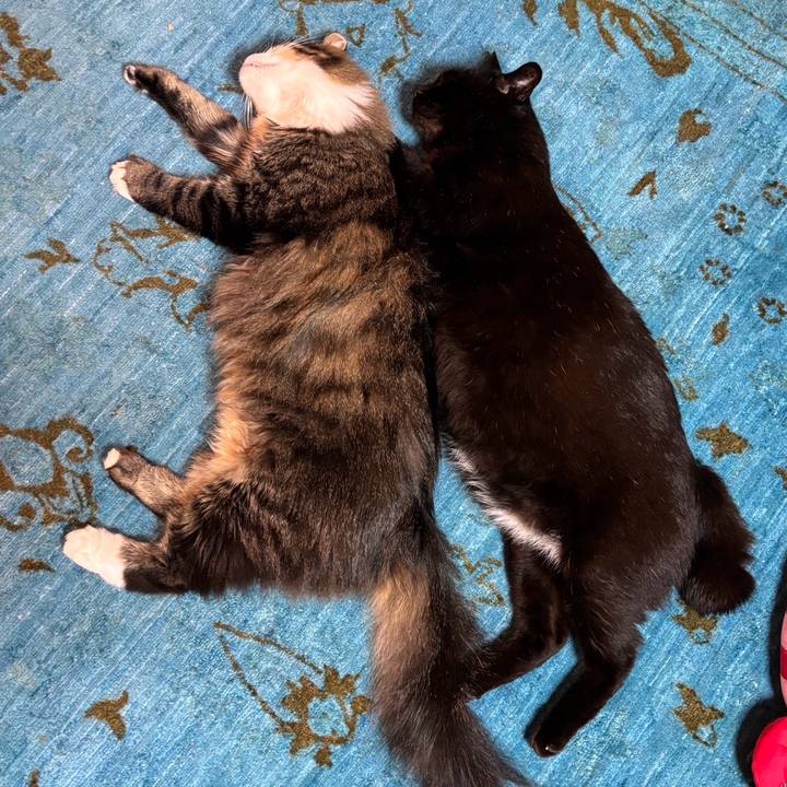 F18bcaeb 3dcb 409d 8f11 99007ae13806 1755748788198