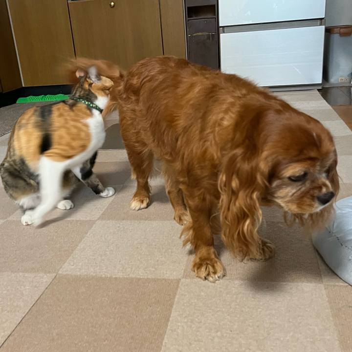 F18c37df e933 4857 a330 0fcba59ab17f 1725229965921