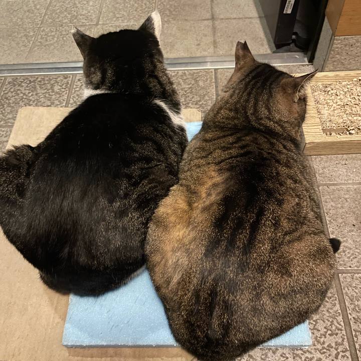 F18c43d8 9f34 4f24 b1dc 30b7005be11c 1609146207361