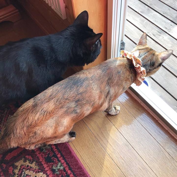 F18c44fb 84ed 47c7 bec4 53203d9cdede 1649197403823