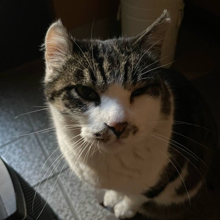 F18c5d10 3b03 4bee 9203 f53b97c176c3 1674261620690