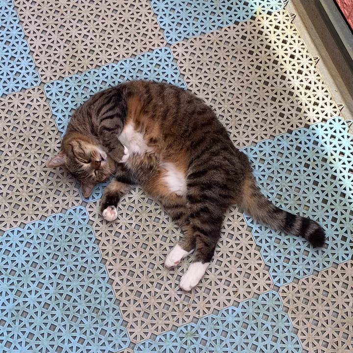 F18c5de1 c049 4bc8 88b8 d25b00d1c694 1653567662897