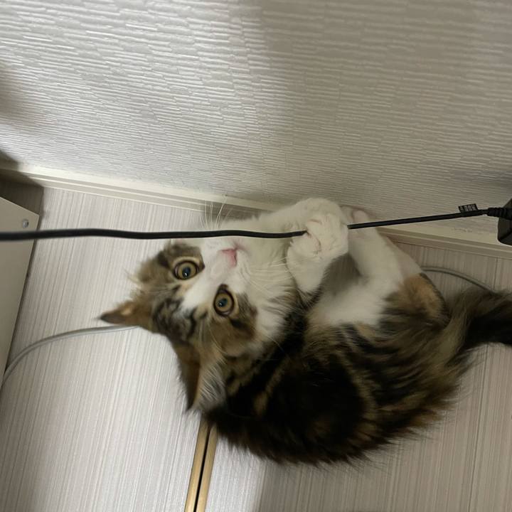 F18c8c3a c560 4204 b7f8 62c1d1e23fbe 1634074174838