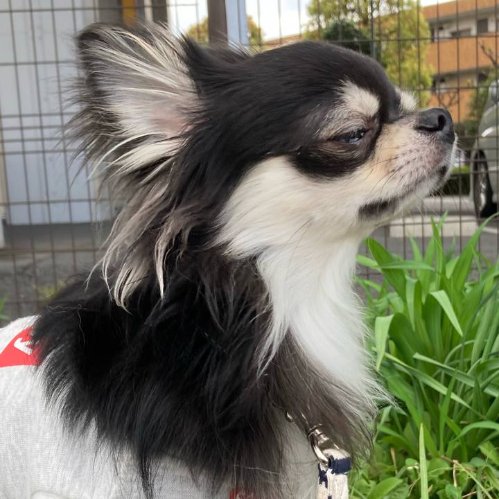 F18c92de 527f 4d96 b640 61a01fd18642 1617422977469