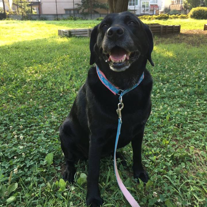 F18cd8c8 2563 4862 a231 e67f3095ed8d 1512220213951