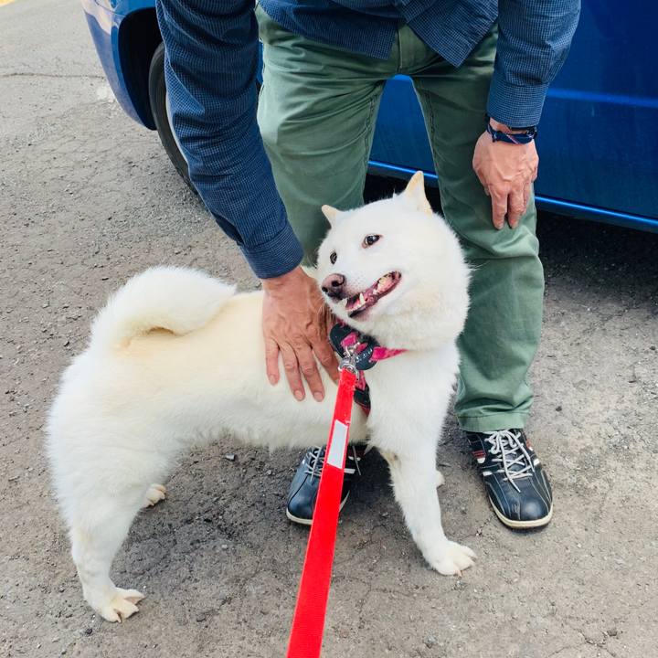 F18d10fc 2685 4d94 93db d240749a7cc7 1591393120670