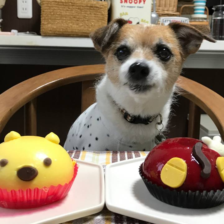 F18d36a9 b59b 42cf 99d2 9ecdfa66f209 1583650545261