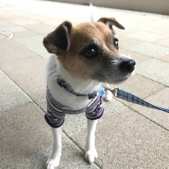 F18d481c e7f1 4bbb b65a b0ec120328a1 1528588189597