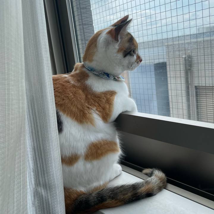 F18d4b84 2d2d 4637 ab40 d0ef3aaf7423 1720845161064