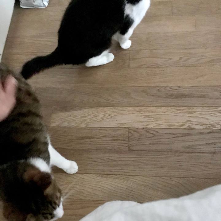 F18d6166 fdf9 4bf2 b855 fc447a7bedd7 1525229000552