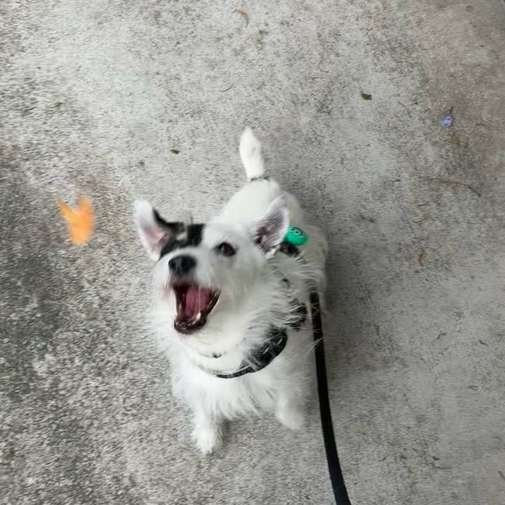 F18d63a5 ec50 45ea bfb3 6ed3400226b1 1759966795142