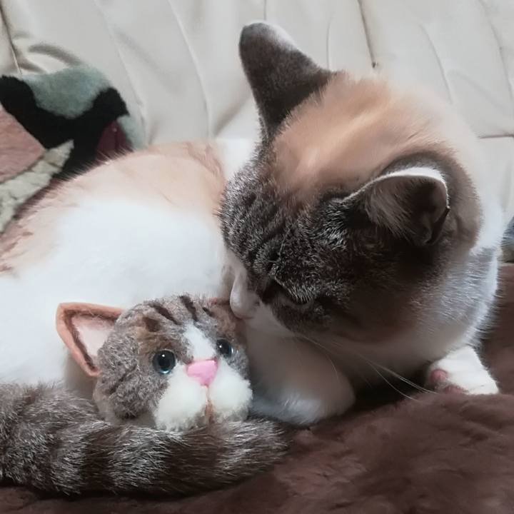 F18d86bd 1c2b 48cd 8de1 722ea253a8ab 1516356974469