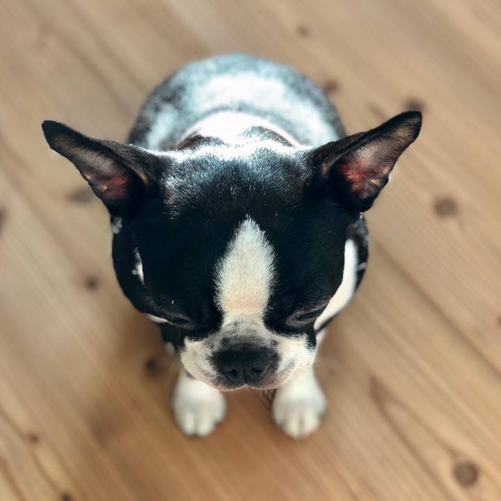 F18dbae4 c8d1 4d03 9878 ad1e2570f8e5 1512348327550