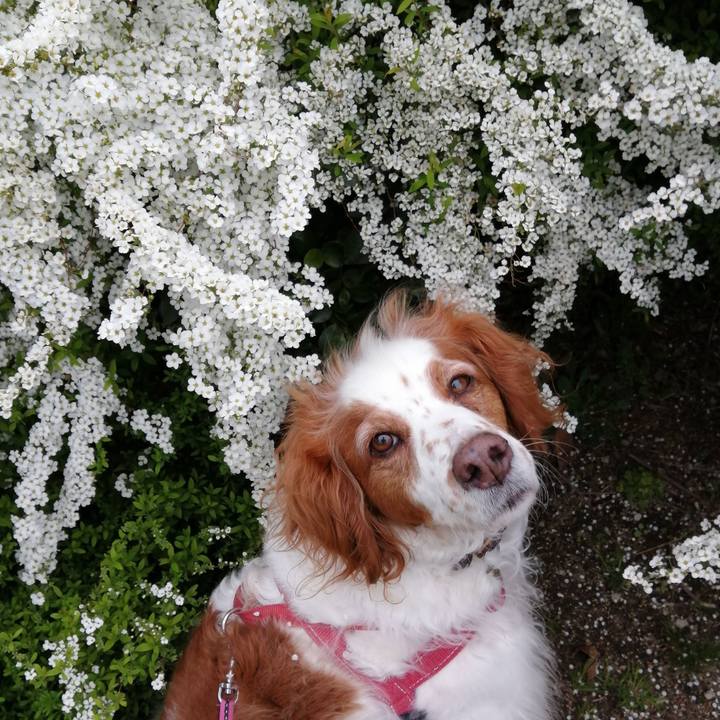 F18dbc7f 7c5c 466d 9782 150abdaed63a 1615882957390