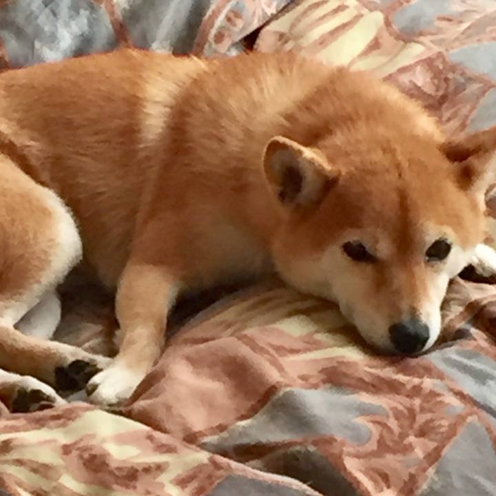 F18dd110 f0a0 462c 8c46 56dec07d5139 1545967119519