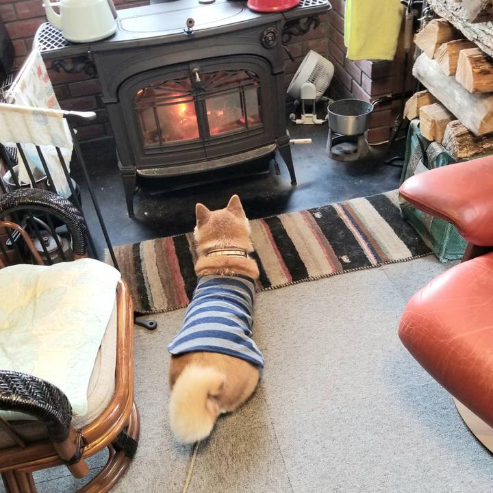 F18de24a 4edb 44bb bbd4 640cd7edd12e 1613544614892