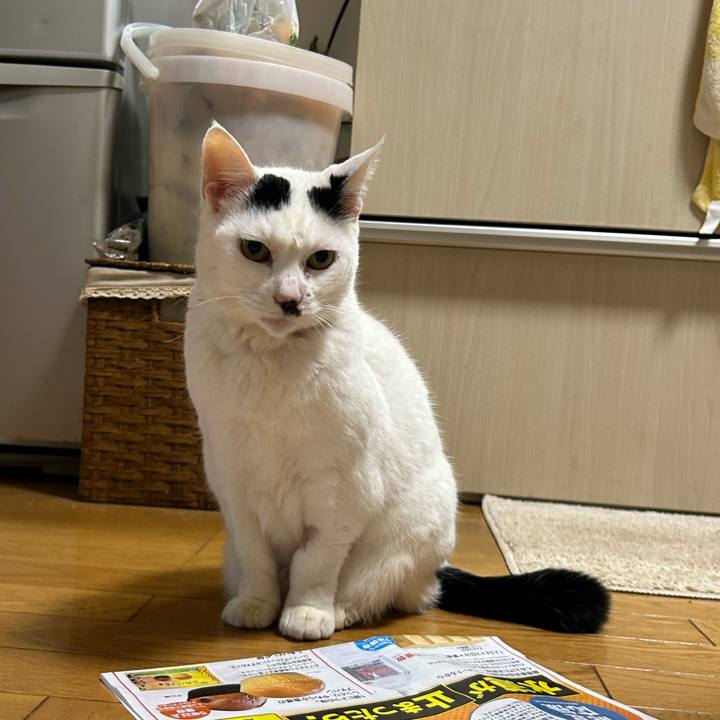 F18e00f7 706e 481f 919a 1d17d59cf44d 1709619818973