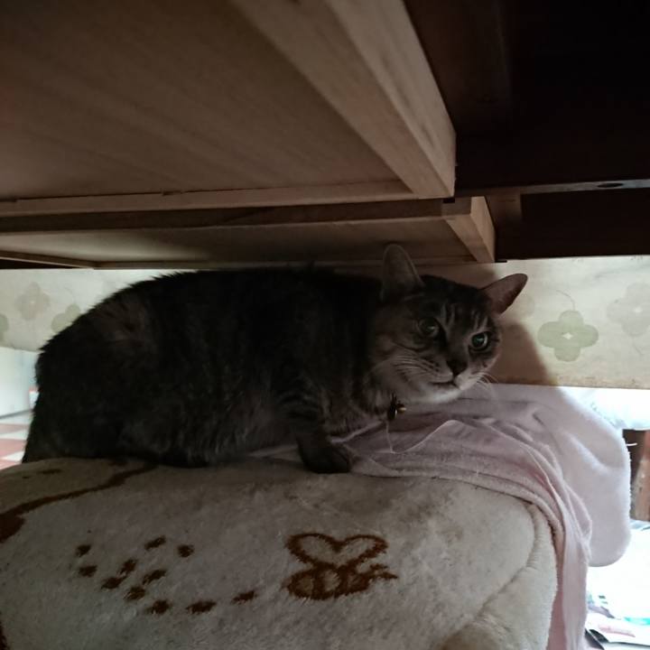 F18e3fc7 286c 4264 b763 dd49aa2ff821 1574550621995