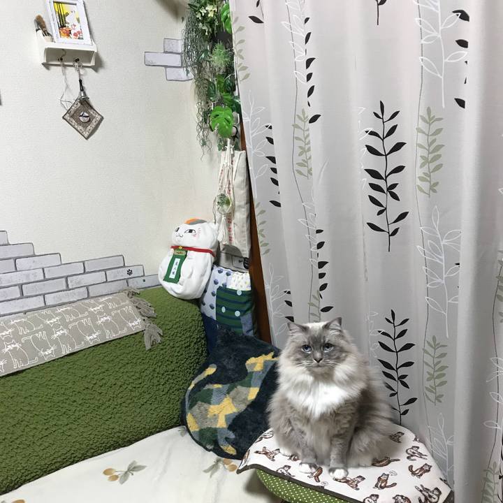 F18e4439 2607 47b7 b251 8a196094e2fc 1516572183545