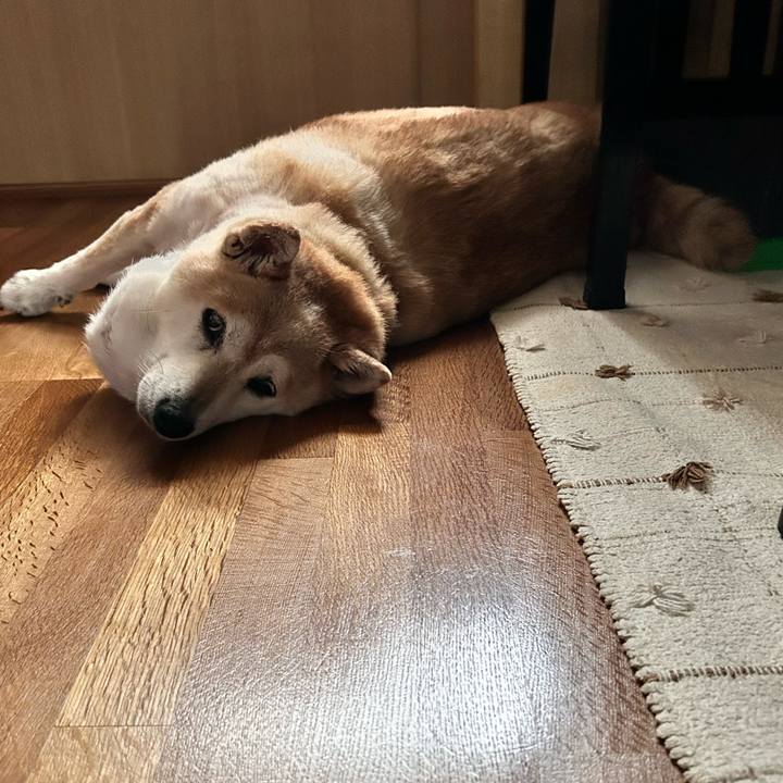 F18e4d45 1f65 4996 bb7a 868cd81bb6d1 1753088442781