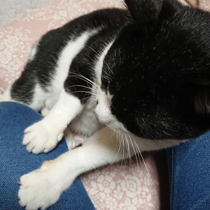 F18e5574 95ce 4996 ab84 d0ff4aebf1c1 1671700005481