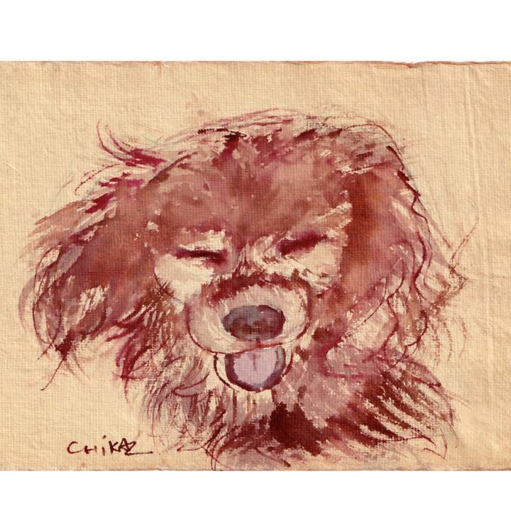 F18e5670 f5fc 494d 98bf 9e176069cd75 1764812313420