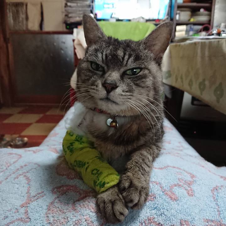 F18e63c2 577c 4507 8197 7640bd8cf265 1586554639260