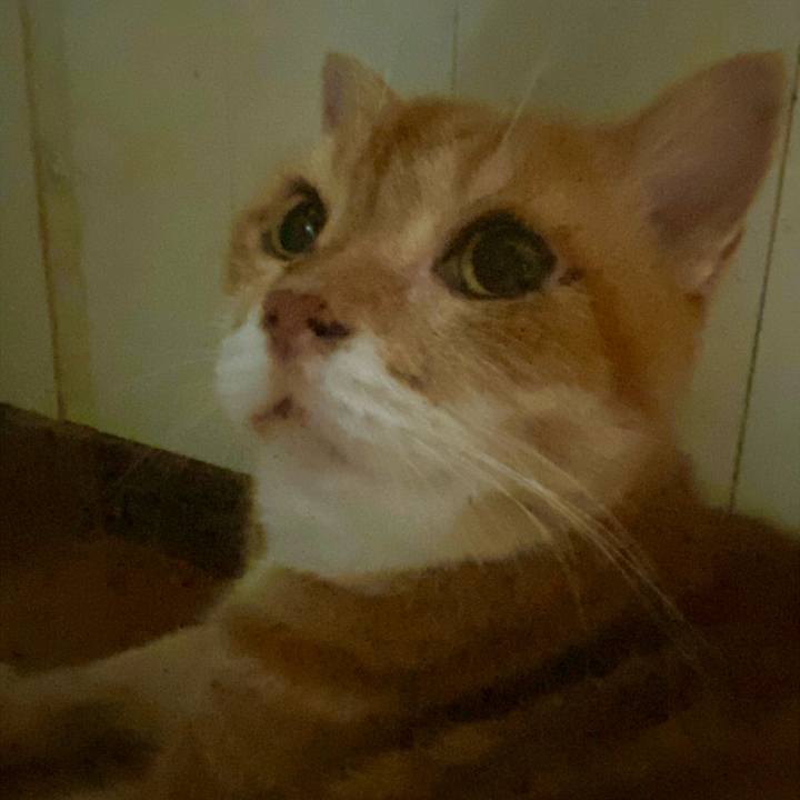 F18e8990 a8c2 45e9 bc60 508c7551e4f8 1753368083510