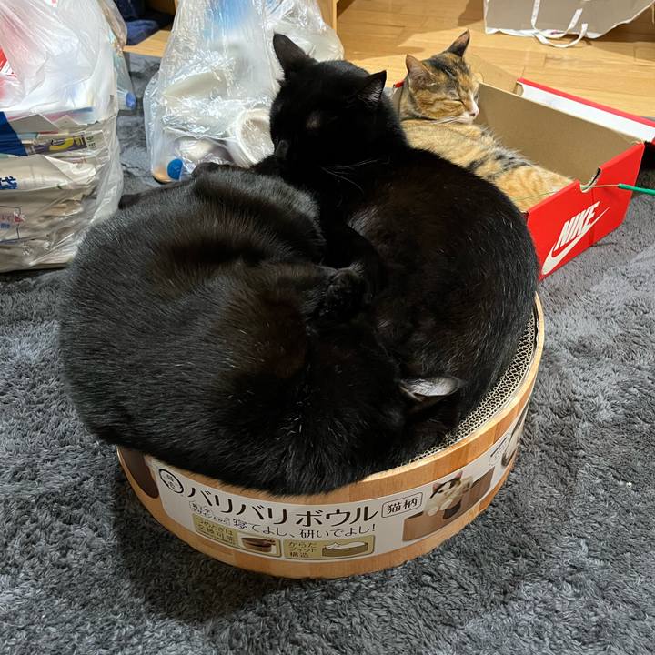 F18e8ff4 cf7c 4a53 947e a1d539308378 1650807832050