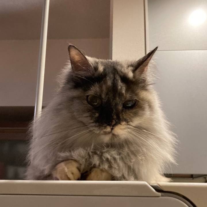 F18ea038 f92d 422e 95f6 3b376d879676 1738324466421