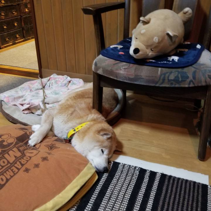 F18ea920 a07d 4b82 a3a1 5fc1c1978765 1687514096767