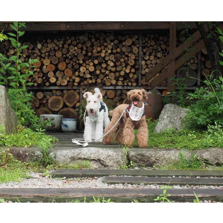 F18eb731 09c3 4018 b1ed fce9d58f81eb 1563590375110