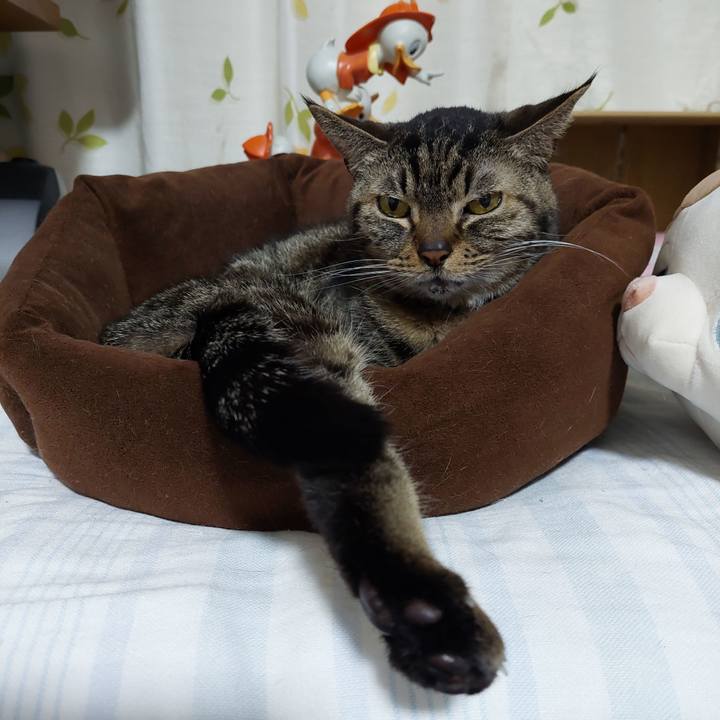 F18ecbc6 4183 4e24 b986 9dc017b58a12 1673182506686