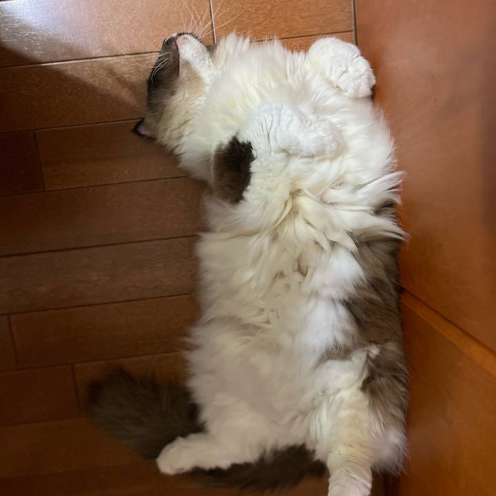 F18ef379 96fd 46e1 95dc a06b5a08428c 1751887475928