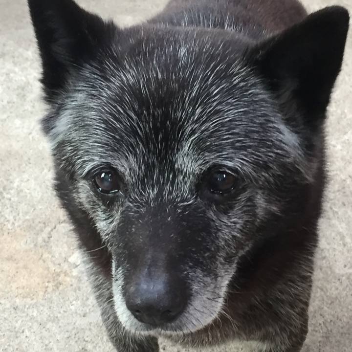 F18ef5e0 8bb3 449d b06e a3d793036e7e 1522047545457