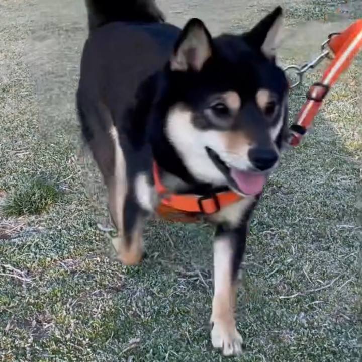 F18f0ba9 a1b3 4b04 9f09 53d64f502ca4 1715954079764