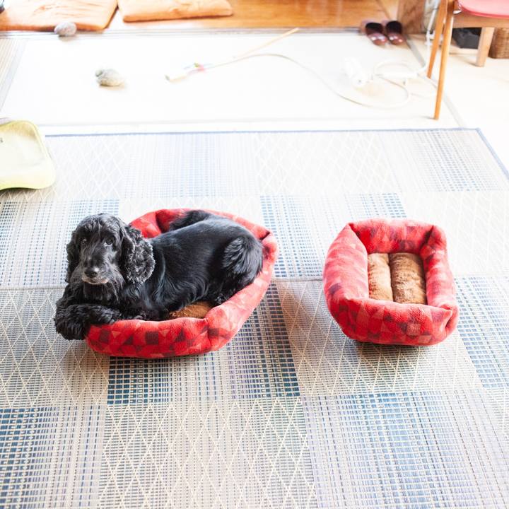 F18f3156 7725 4130 9d7c caa32cc53af0 1573021792964