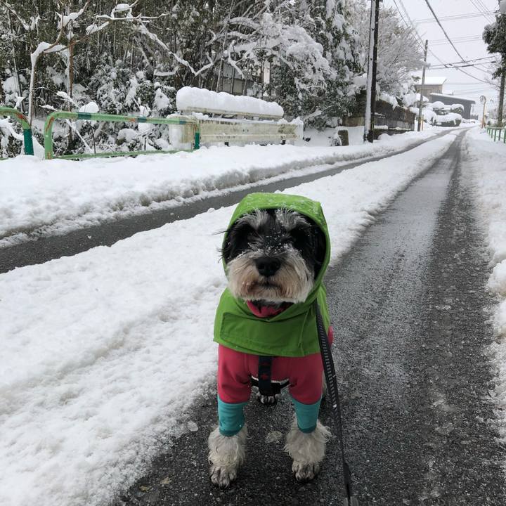 F18f38b4 0aa2 432d 8e3f 835a715ad416 1644126825676