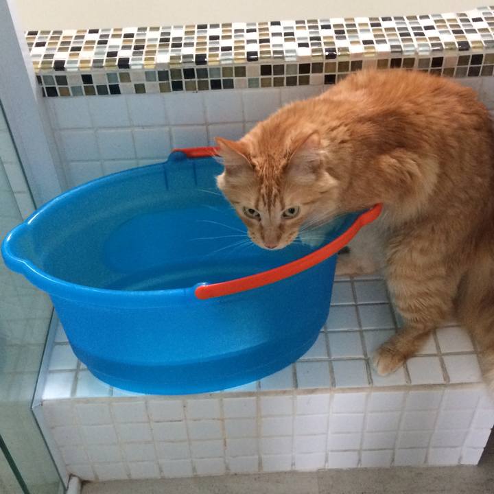 F18f6b9c 92cf 4f68 bb48 18be0482df51 1518362215480