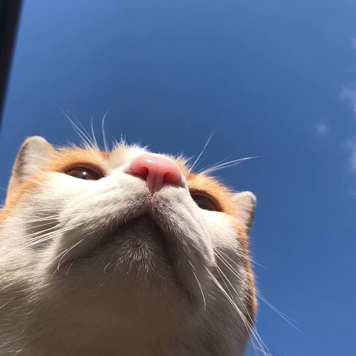 F18f7575 c289 4a84 8e4b d8f092771a1d 1551159452702