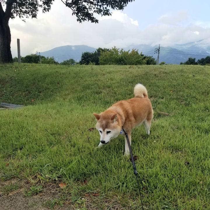 F18f893f f8ac 4d94 9a4e 3b24a502bee4 1723797426609