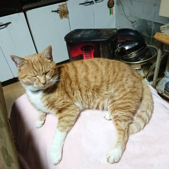 F18f8ae5 49ec 4e2e 84a9 96a356ffdb05 1608498105135