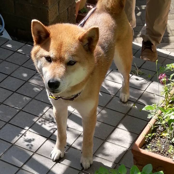 F18f8bd9 e0dd 450f badb 7db3a4d53ade 1589681662003