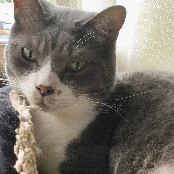 F18fcbca b537 4641 b5d9 0a6763dffac7 1562022855587