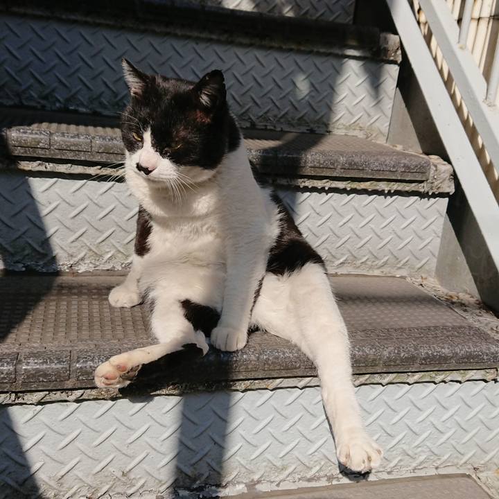 F18ff9e3 d011 4733 8b69 0c5b087c52e9 1552091352946