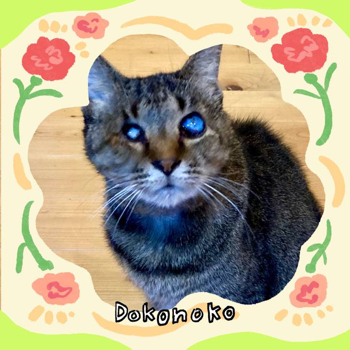 F1900d68 17dd 4adc a007 efc98c85a14d 1714971424283