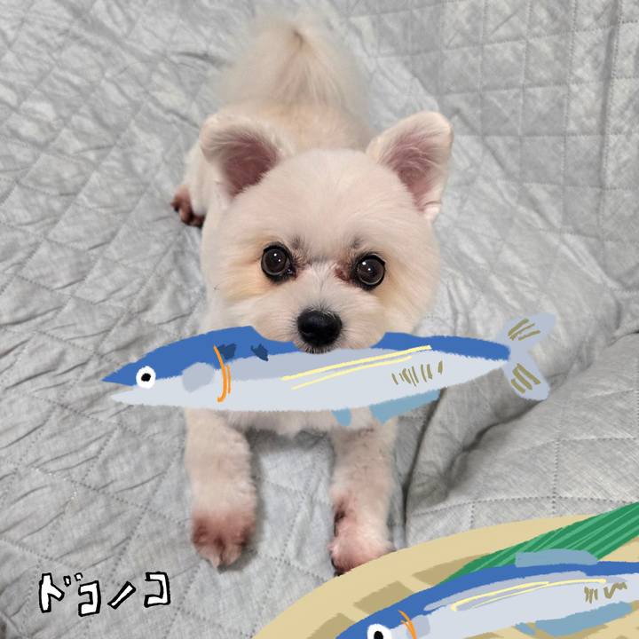 F1902556 2343 4cdc b412 f201a10e8c8f 1789878740087