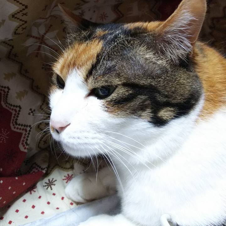 F19033f7 7014 446f a439 959f1a2e3b31 1552340816647