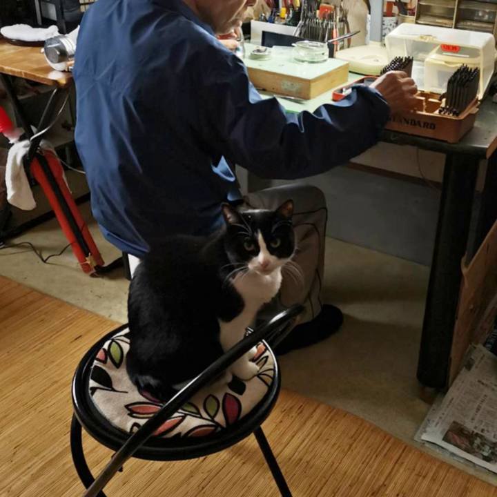 F1907dc3 35cf 4507 bb06 df33a346c098 1711079625681