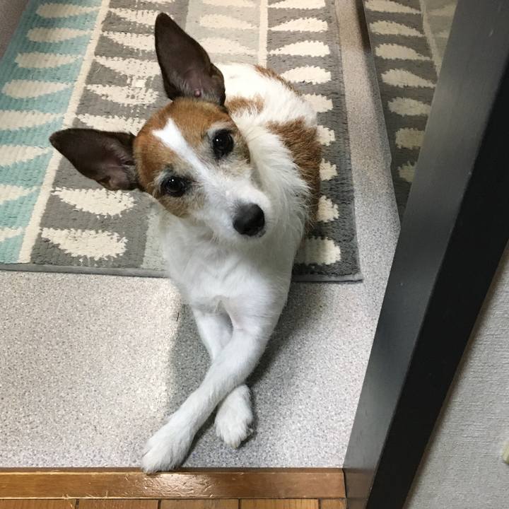 F1908866 b911 4d6c 9b39 206bef795079 1601509120539